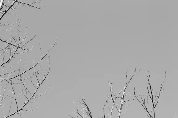 XCasino Spilavíti Stuðningur